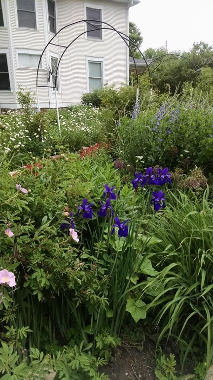 Covington Manor B&B Cambridge Экстерьер фото