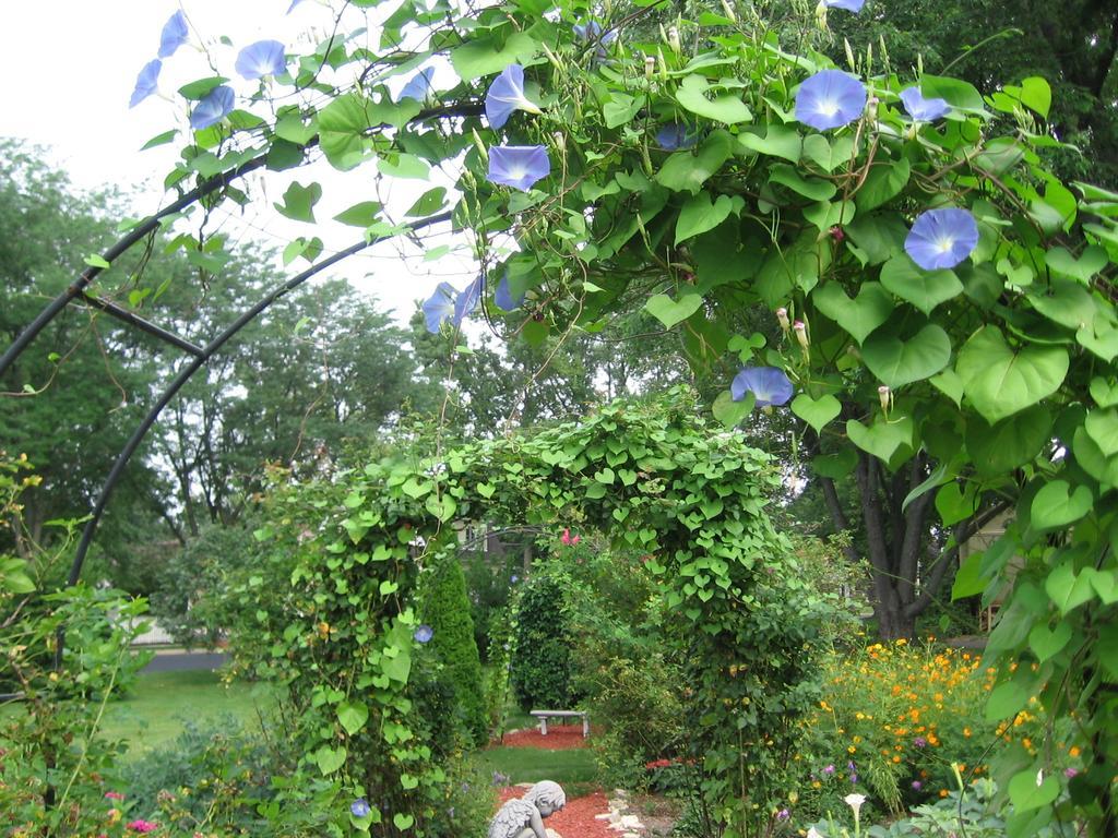 Covington Manor B&B Cambridge Экстерьер фото